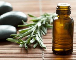 Aceite de Árbol de Té
