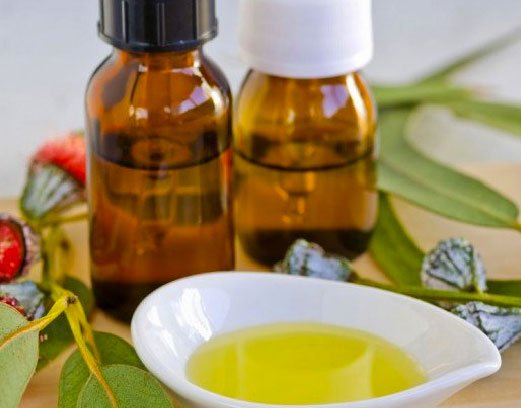 Aceite de Eucalipto