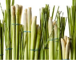 Aceite de Lemongrass