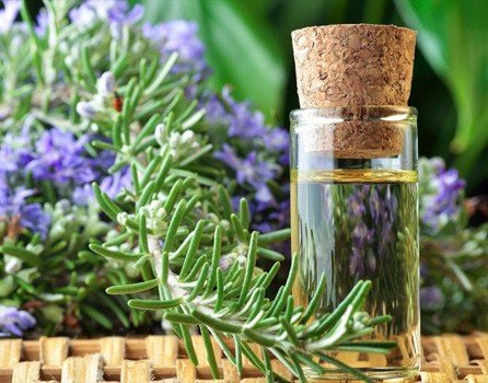 Aceite de Romero