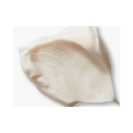 Superfood Shine Hair Mask Evolve