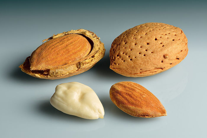 Planta de origen de Aceite de Almendras Dulces